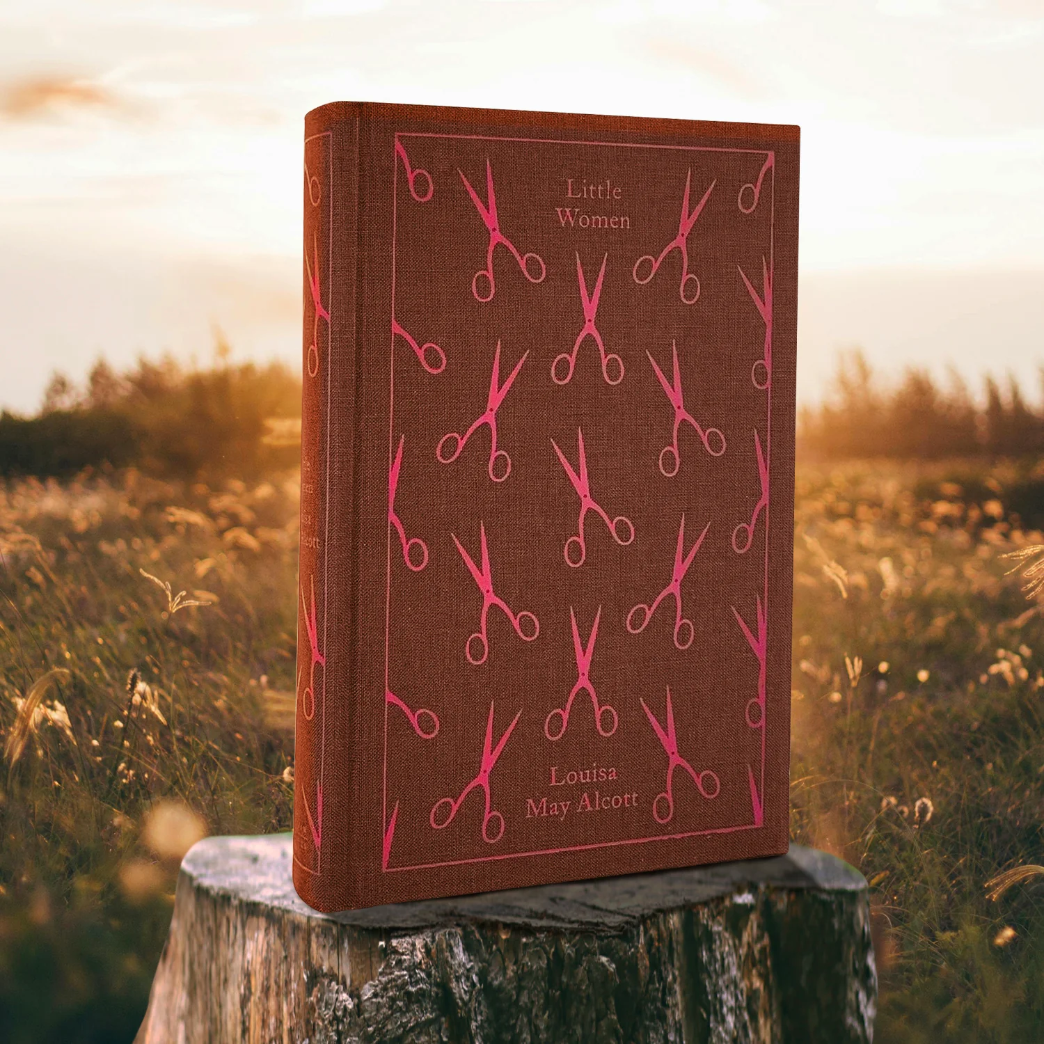 Penguin Clothbound Classics Collection - Image 12