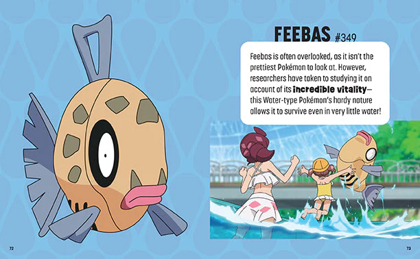 Trainer's Mini Exploration Guide to Hoenn | Pokemon - Image 3
