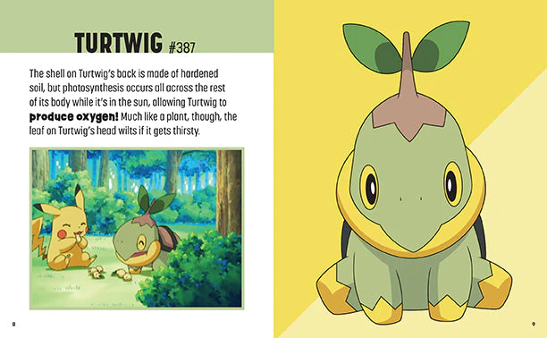 Trainer's Mini Exploration Guide to Sinnoh | Pokemon - Image 3
