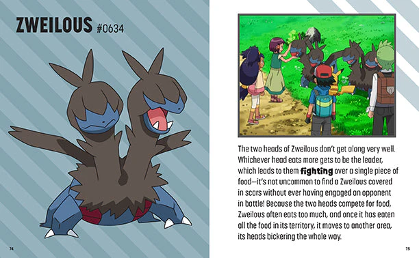 Trainer's Mini Exploration Guide to Unova | Pokemon - Image 5