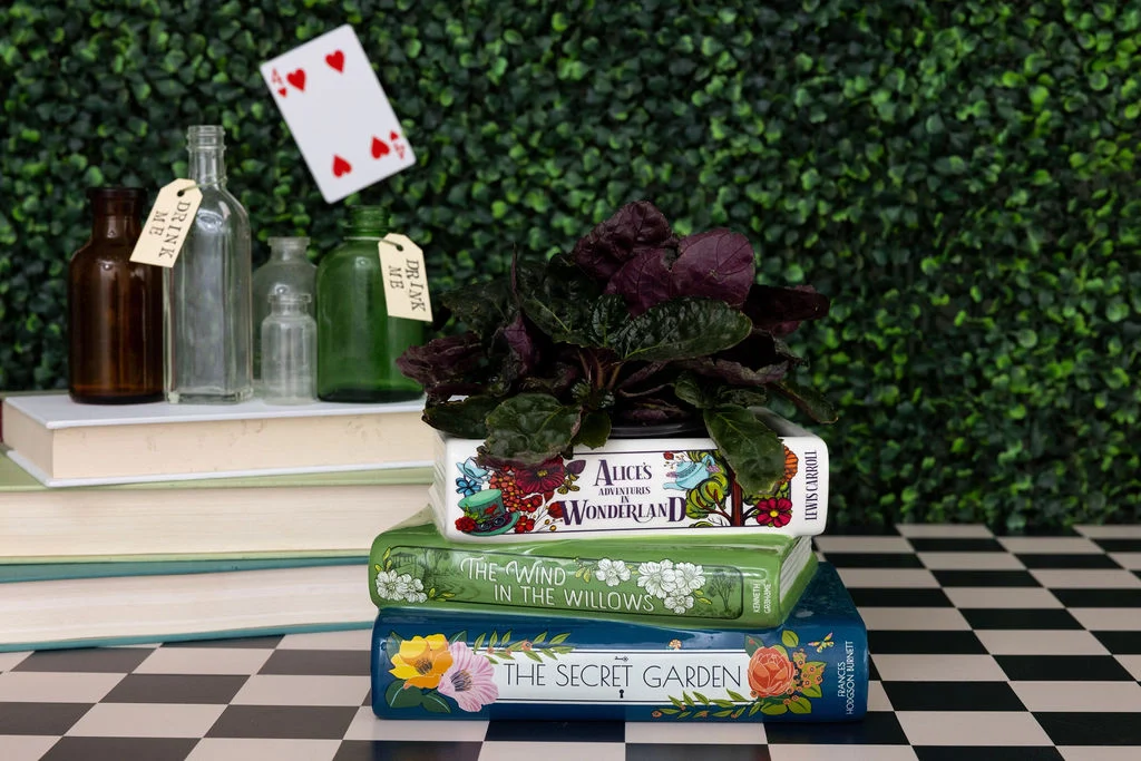 Ceramic Book Vase Collection | Bookish Planters - Image 6