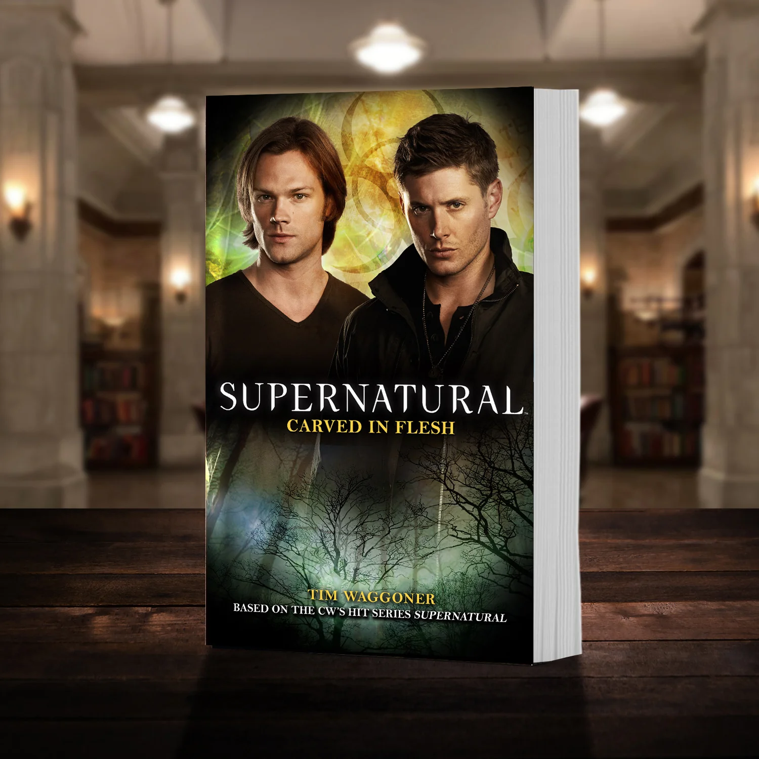 Supernatural Novel Series - Image 13