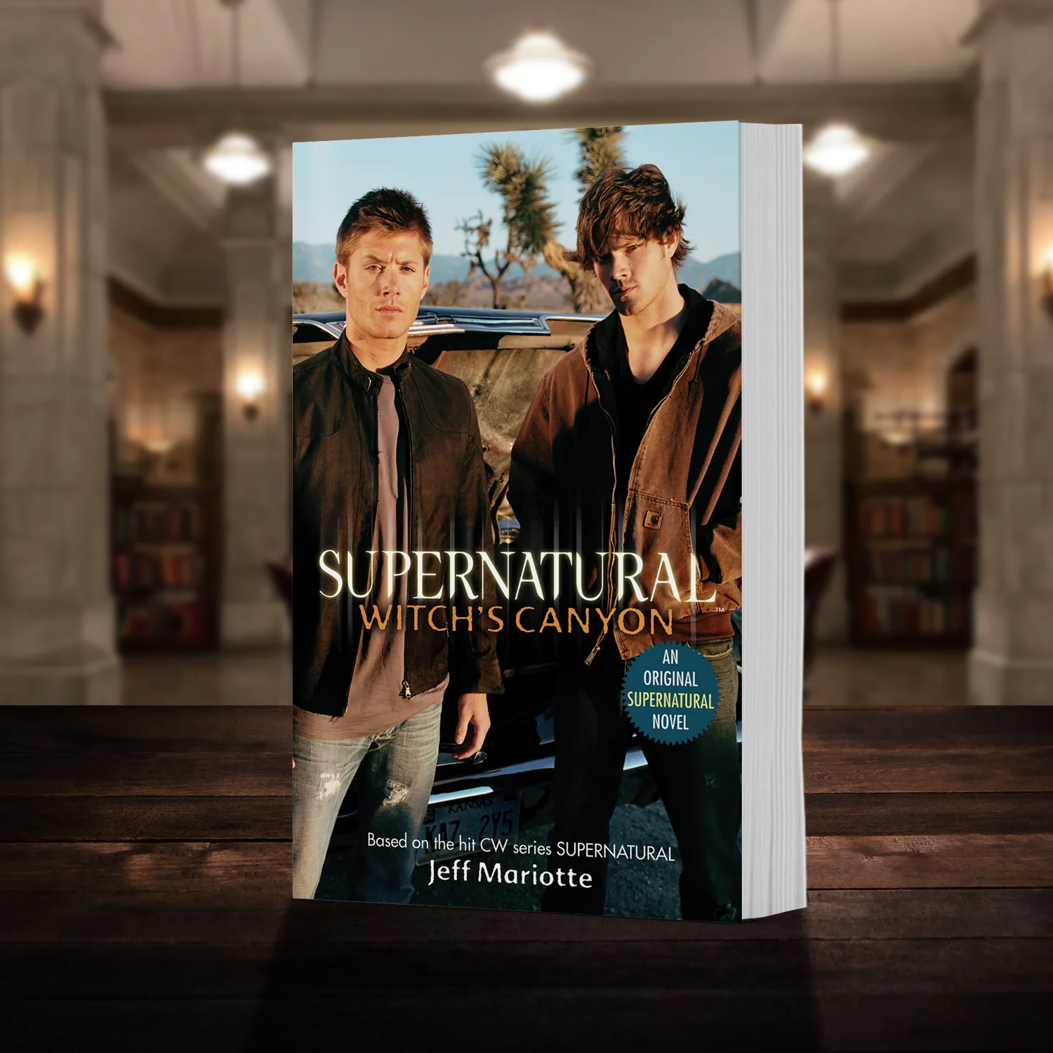Supernatural Novel Series - Image 3